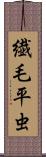 繊毛平虫 Scroll