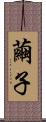 繭子 Scroll
