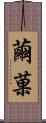 繭菓 Scroll