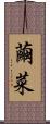 繭菜 Scroll