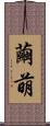 繭萌 Scroll
