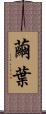 繭葉 Scroll