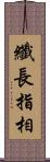 纖長指相 Scroll
