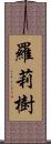 羅莉樹 Scroll