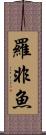 羅非魚 Scroll