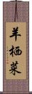 羊栖菜 Scroll