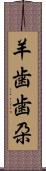 羊歯;歯朶 Scroll