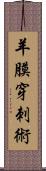 羊膜穿刺術 Scroll