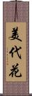 美代花 Scroll