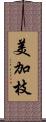 美加枝 Scroll