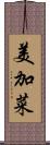 美加菜 Scroll