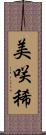 美咲稀 Scroll