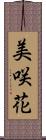 美咲花 Scroll