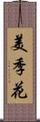 美季花 Scroll