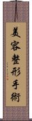 美容整形手術 Scroll