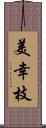 美幸枝 Scroll