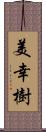 美幸樹 Scroll