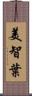 美智葉 Scroll