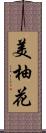 美柚花 Scroll