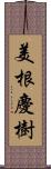 美根慶樹 Scroll