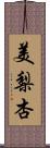 美梨杏 Scroll