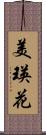 美瑛花 Scroll