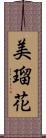 美瑠花 Scroll
