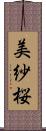 美紗桜 Scroll