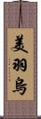 美羽烏 Scroll