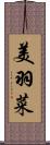 美羽菜 Scroll