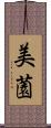 美薗 Scroll