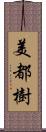 美都樹 Scroll