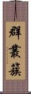 群;叢;簇 Scroll