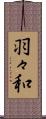 羽々和 Scroll