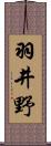 羽井野 Scroll