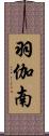 羽伽南 Scroll