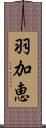 羽加恵 Scroll