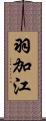 羽加江 Scroll