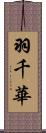 羽千華 Scroll