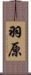 羽原 Scroll