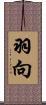 羽向 Scroll