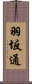 羽坂通 Scroll