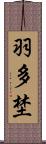 羽多埜 Scroll