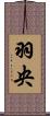 羽央 Scroll