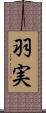 羽実 Scroll