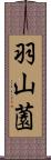 羽山薗 Scroll