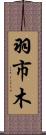 羽市木 Scroll