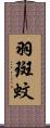 羽斑蚊 Scroll