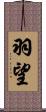羽望 Scroll