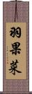 羽果菜 Scroll